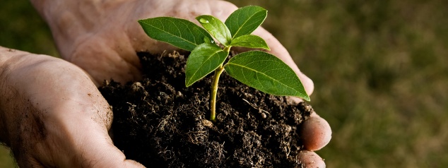 compost types